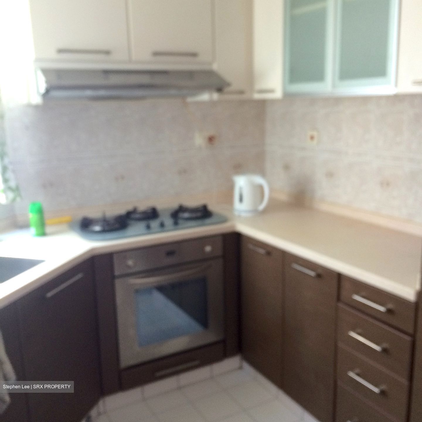 Parkshore (D15), Condominium #370282431